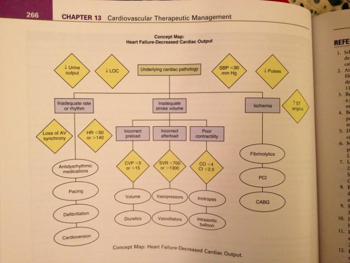 Concept map for chronic heart failure