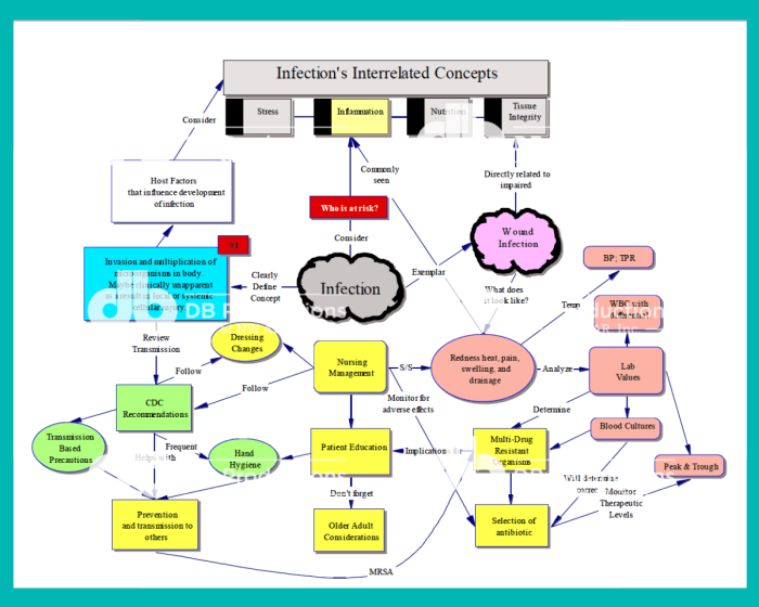 Congestive diabetes medication pathophysiologic artery coronary