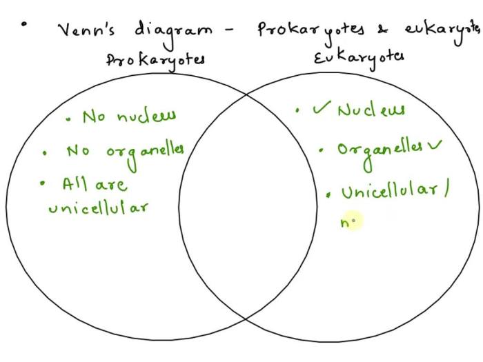 Diagram prokaryotic eukaryotic cells venn vs activity comparing contrasting sort card preview teacherspayteachers