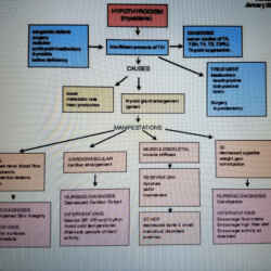 Failure heart right pathophysiology sided ca nursing calgary guide calgaryguide ucalgary left map concept post medicine views emergency adult