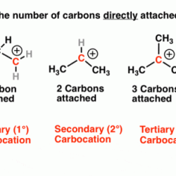 Rank the following radicals in order of stability