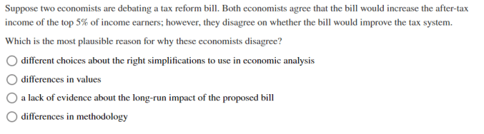 Suppose two economists are debating a tax reform bill